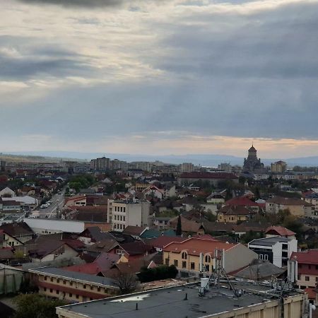 Exclusive Hortensiei Baia Mare Exterior foto
