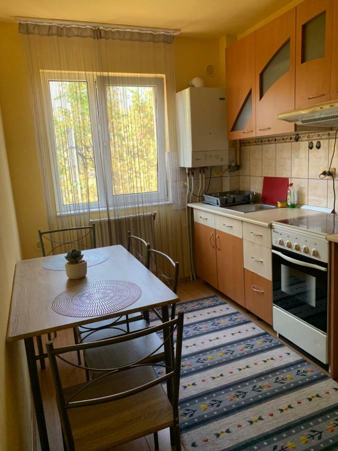 Exclusive Hortensiei Baia Mare Exterior foto